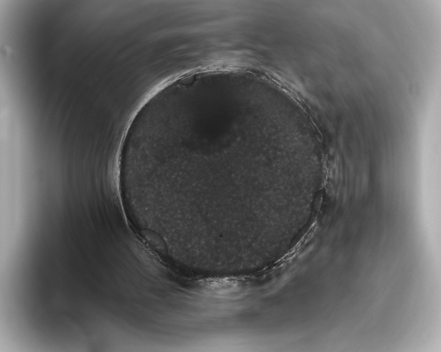 X0000093400100200710260925