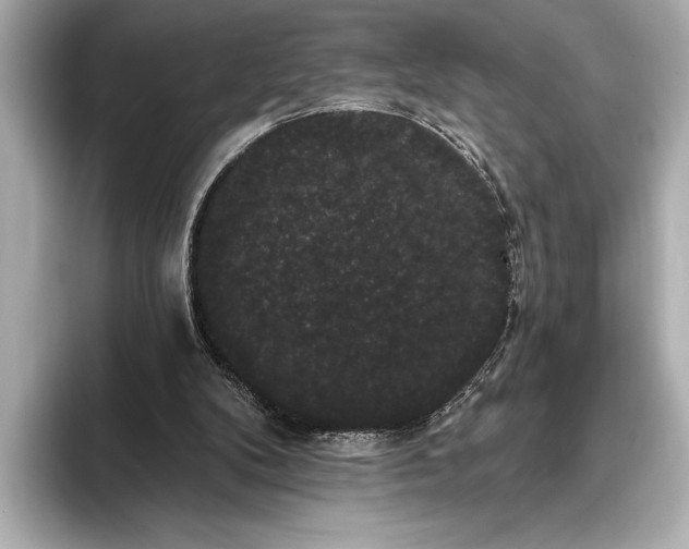 X0000093400104200710260925