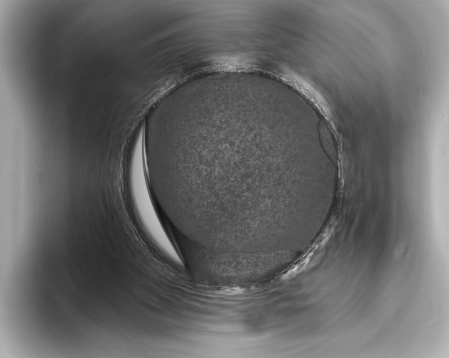 X0000093400105200710260925