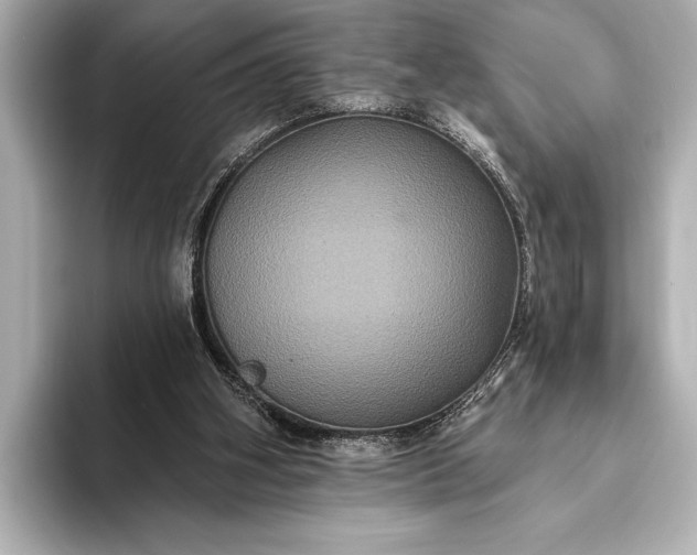 X0000093400106200710260925