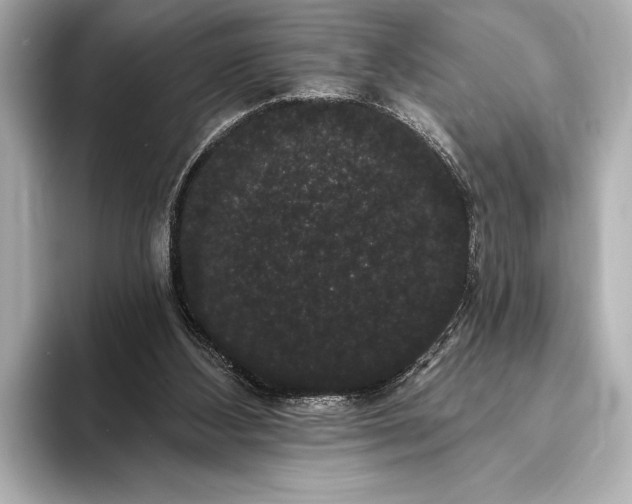 X0000093400108200710260925