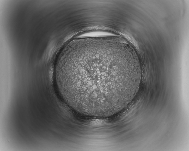 X0000093400111200710260925