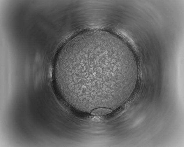 X0000093400115200710260925