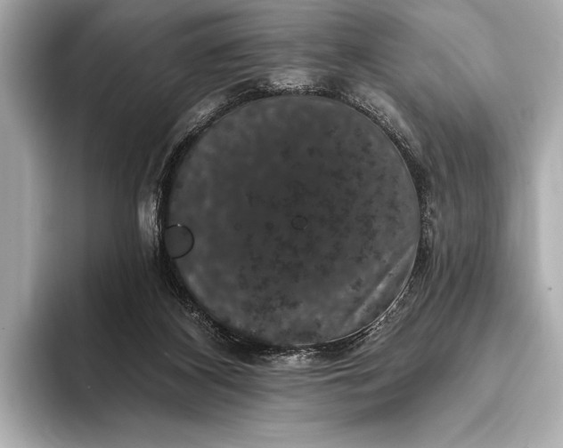 X0000093400116200710260925