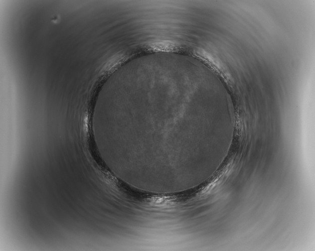 X0000093400117200710260925