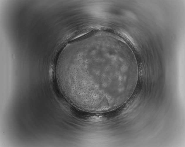 X0000093400119200710260925