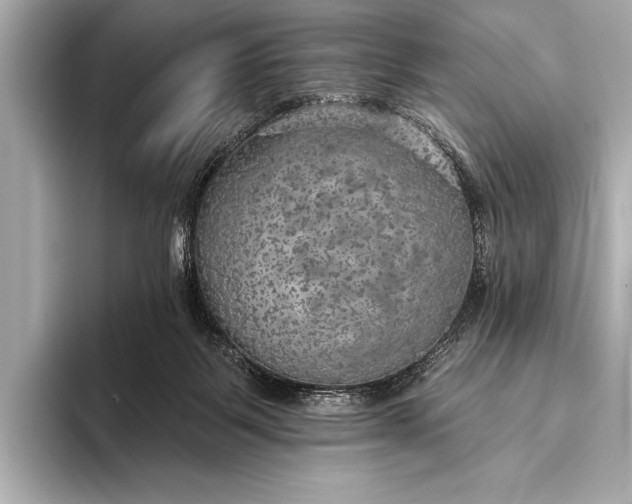 X0000093400123200710260925