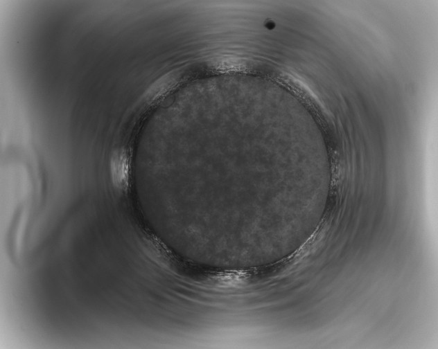 X0000093400124200710260925