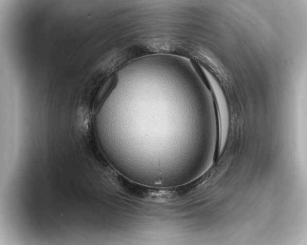 X0000093400125200710260925