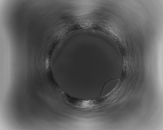 X0000093400130200710260925