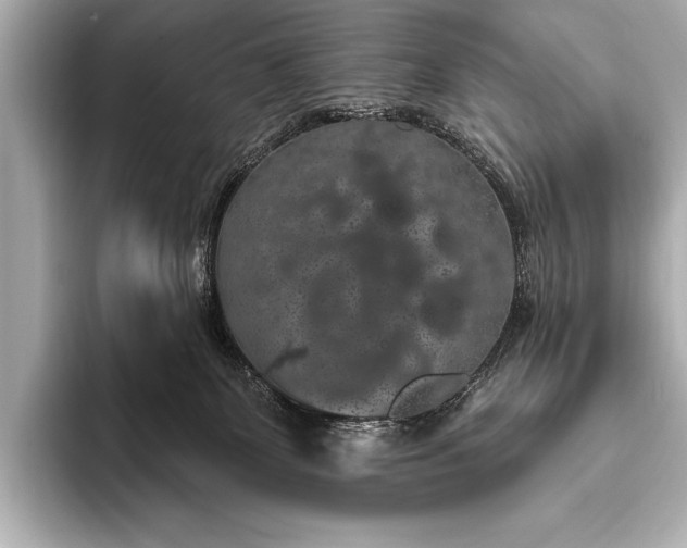 X0000093400131200710260925