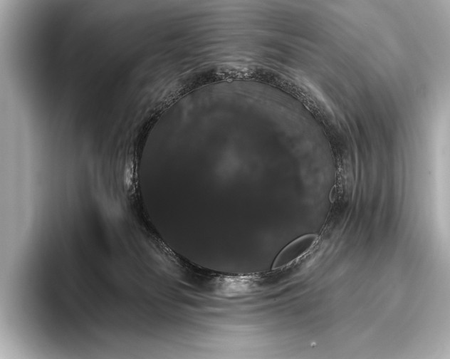 X0000093400134200710260925