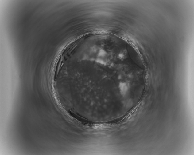 X0000093400145200710260924