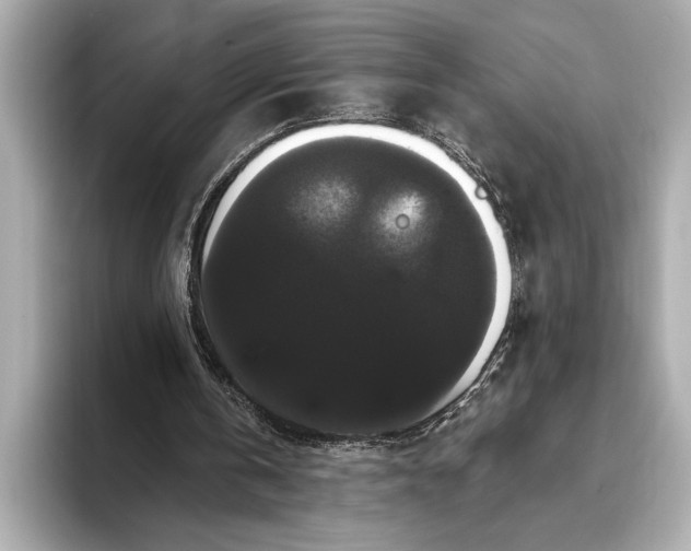 X0000093400146200710260924