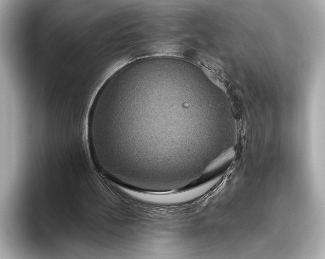 X0000093400148200710260924