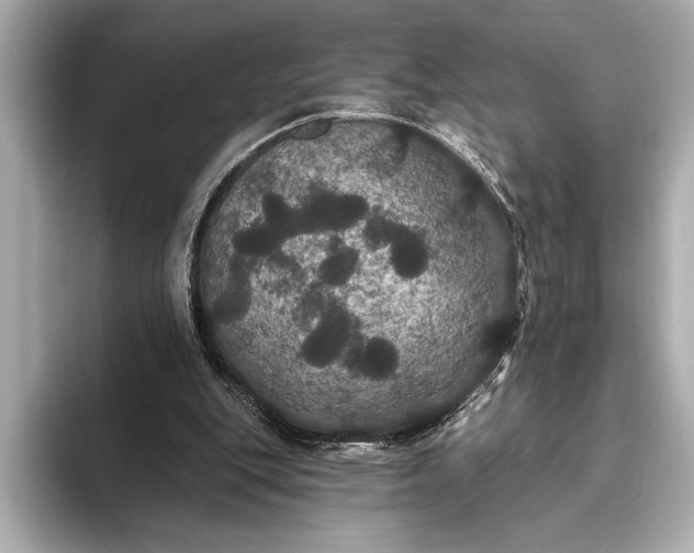 X0000093400151200710260924