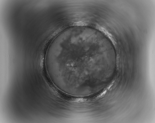 X0000093400153200710260924