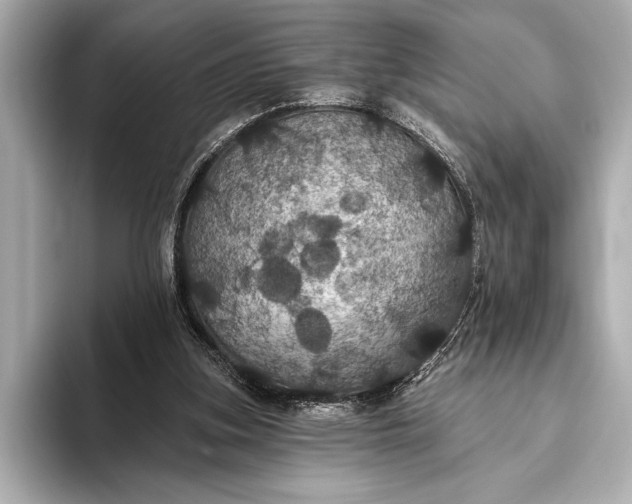 X0000093400155200710260924