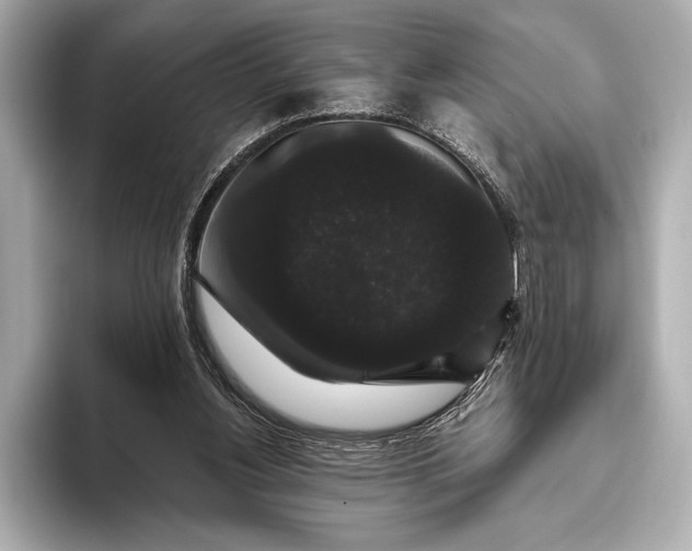 X0000093400156200710260924