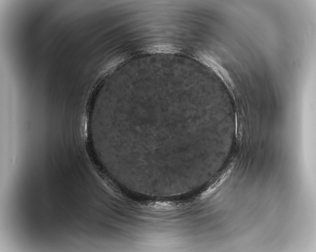 X0000093400157200710260924