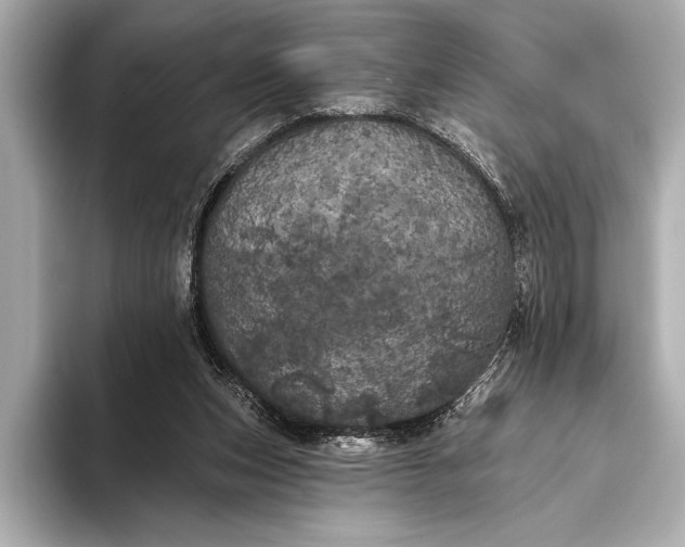 X0000093400159200710260924