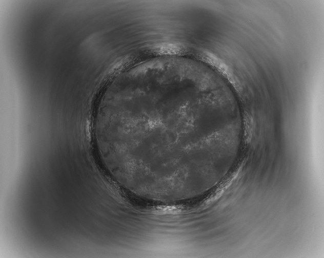 X0000093400161200710260924