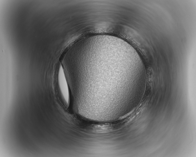 X0000093400164200710260924