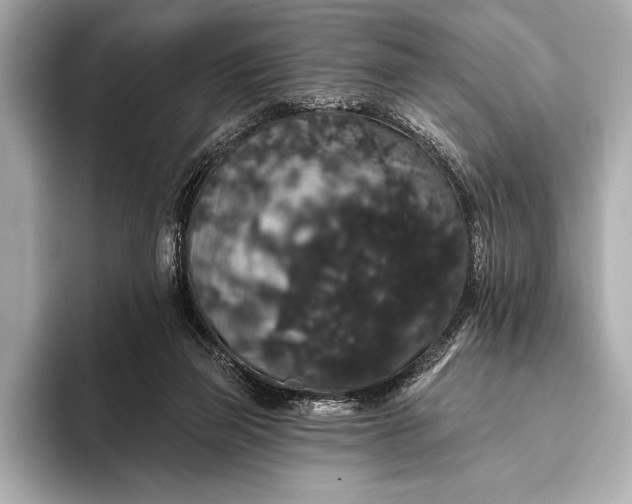 X0000093400165200710260924