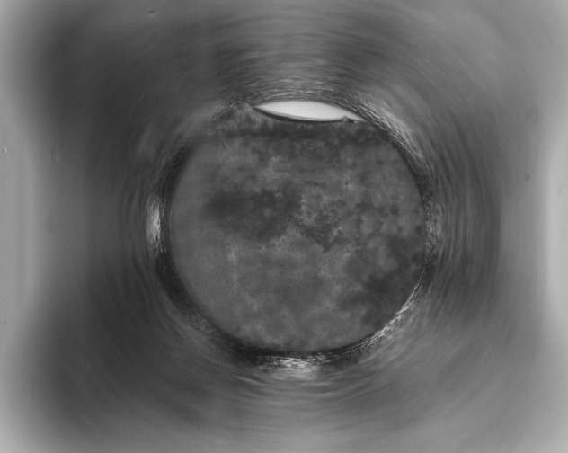 X0000093400166200710260924