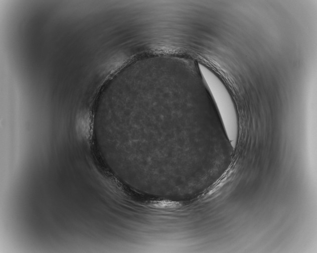 X0000093400168200710260924