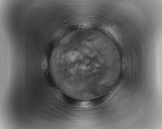 X0000093400173200710260925