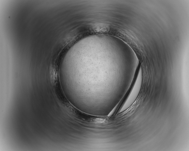 X0000093400176200710260925