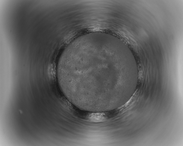 X0000093400179200710260925