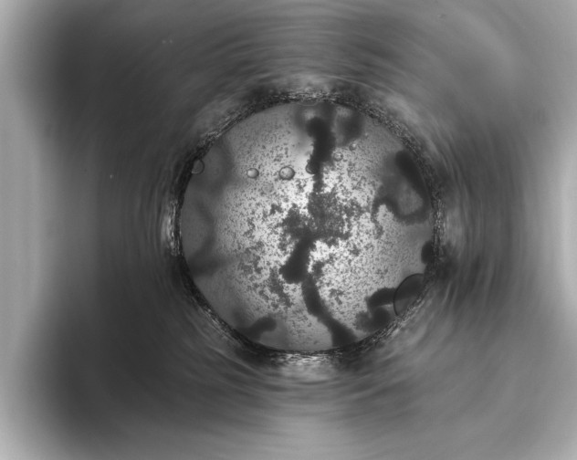 X0000093400185200710260925