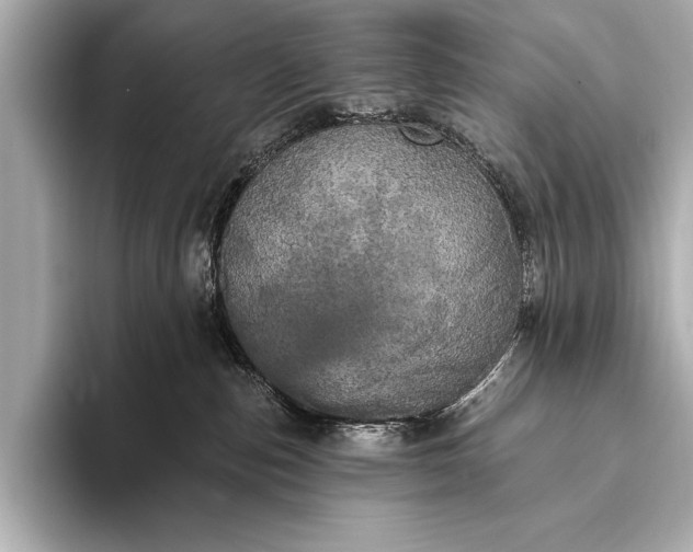 X0000093400187200710260925