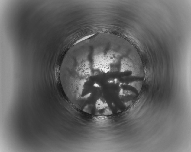 X0000093400189200710260925