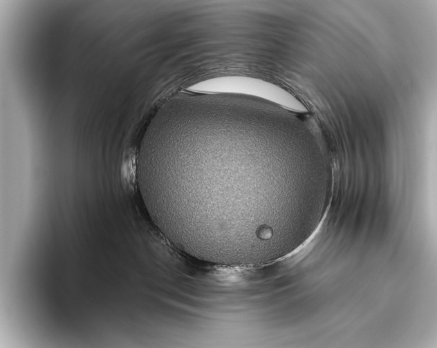 X0000093400190200710260925