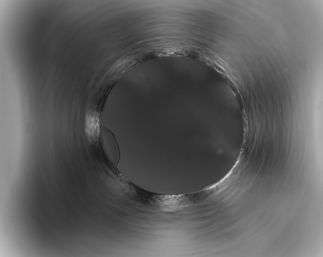 X0000093400191200710260925