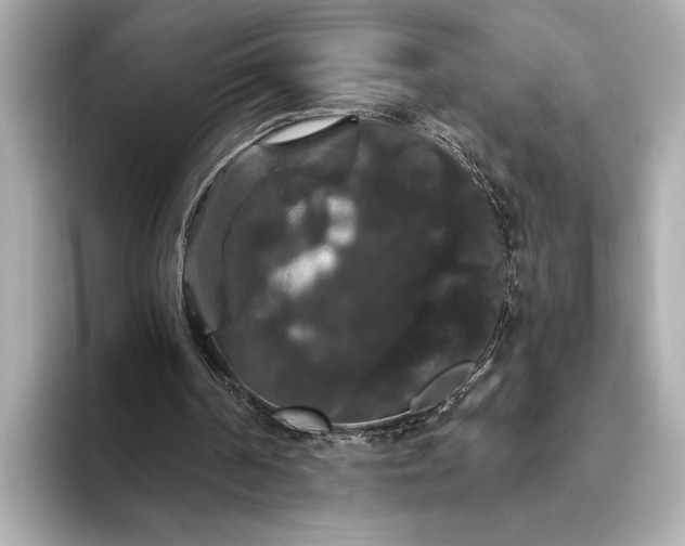 X0000093400194200710260924