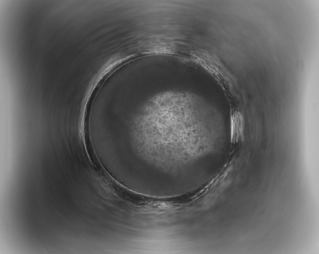 X0000093400195200710260924