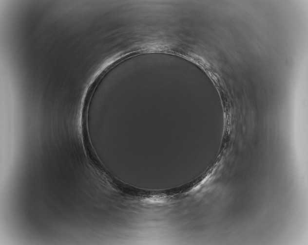 X0000093400196200710260924