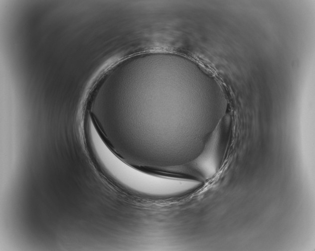 X0000093400197200710260924