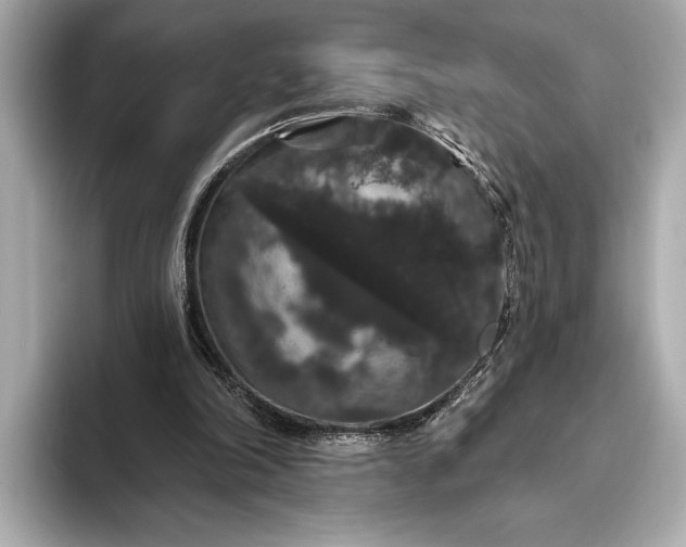 X0000093400198200710260924