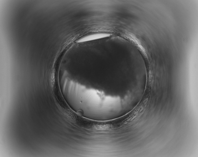 X0000093400202200710260924