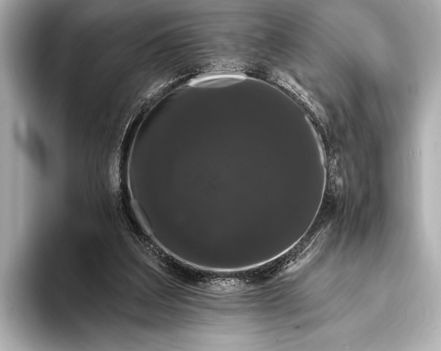 X0000093400203200710260924