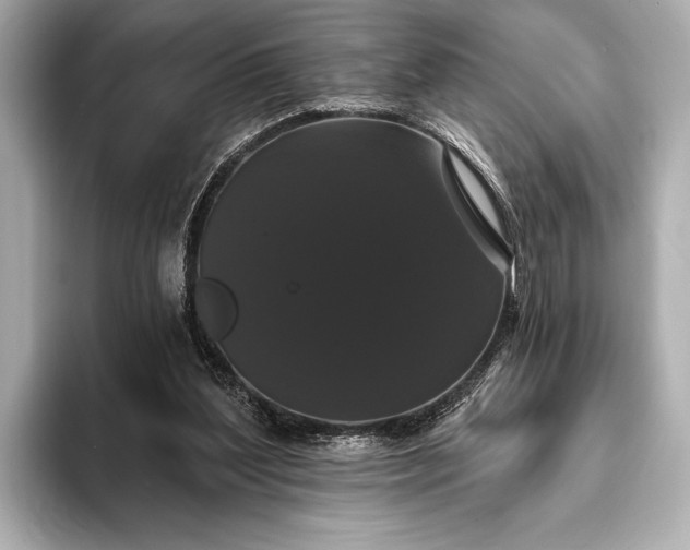 X0000093400204200710260924