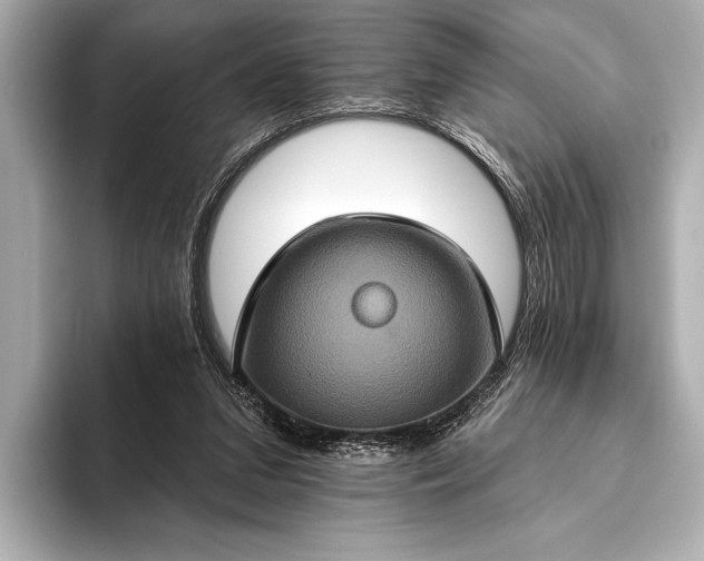 X0000093400207200710260924