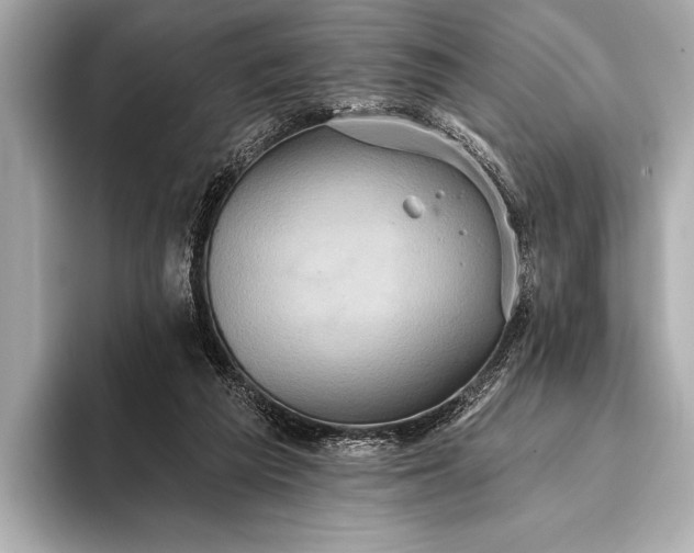 X0000093400209200710260924