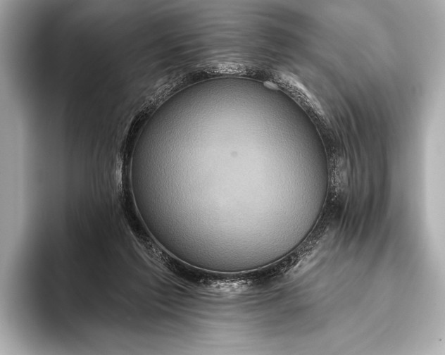 X0000093400213200710260924