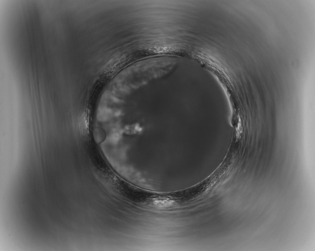 X0000093400214200710260924